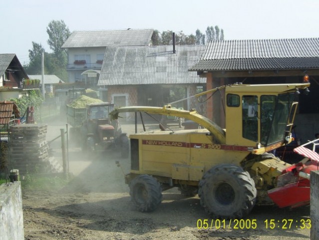 Silaža 2005 - foto