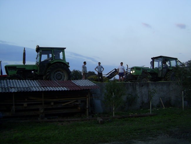 Silaža 2006 - foto povečava