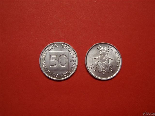 50-1995
