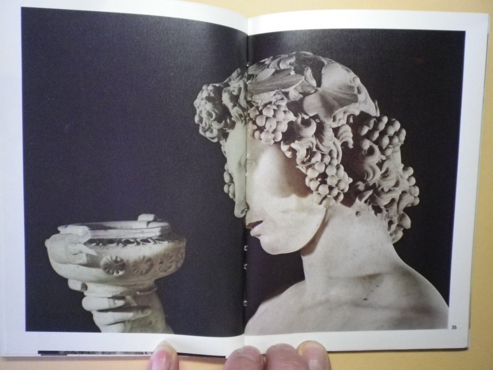 Michelangelo, knjiga - foto povečava