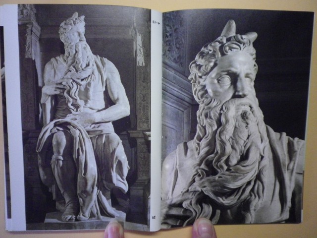 Michelangelo, knjiga - foto
