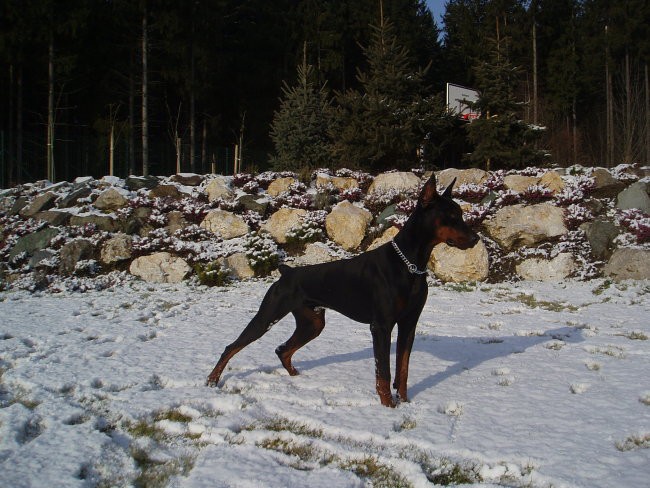 Iron skozi otroštvo - foto povečava