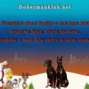 čestitka in darilo