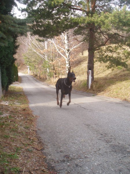 Pri Minci na obisku - foto povečava