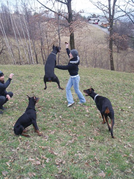 Pri Minci na obisku - foto povečava