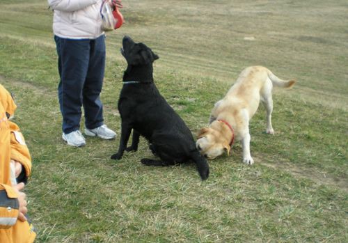 Ron&Keti - foto povečava