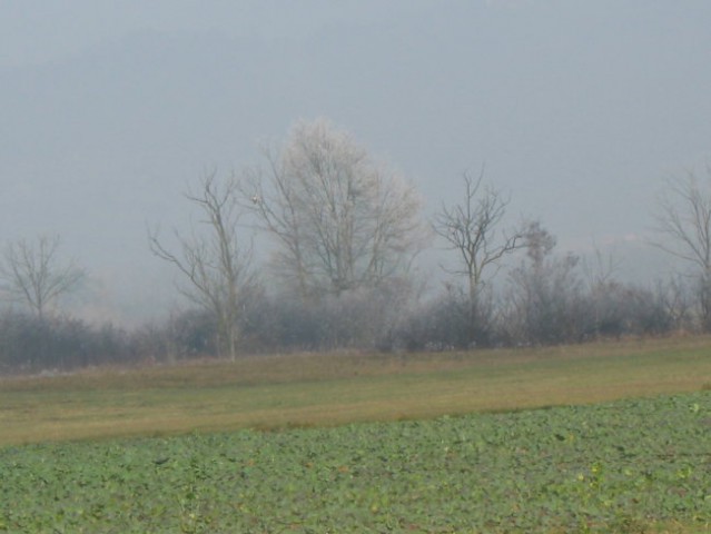 Sava-zima - foto