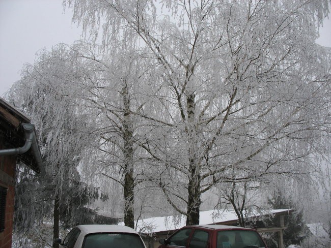 Sneg - foto povečava