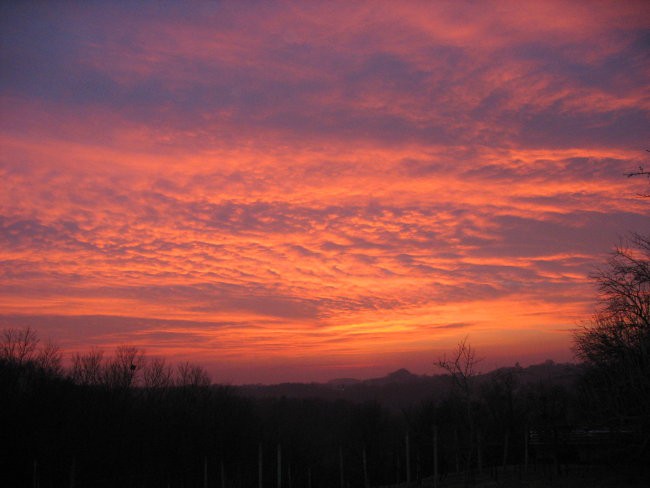 Fišingi pomlad - foto povečava