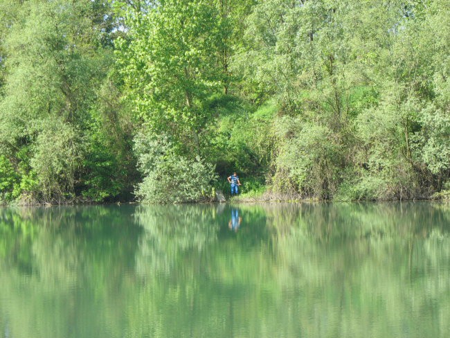 Vrbina3 - foto povečava