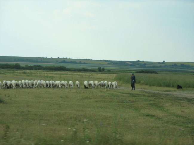 Bela crkva - foto povečava