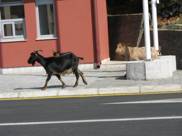 Albanija - foto