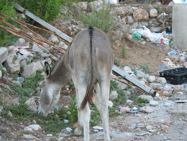 Albanija - foto povečava