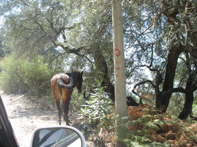 Albanija - foto povečava