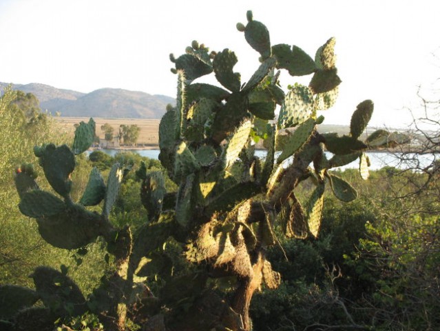 Albanija - foto