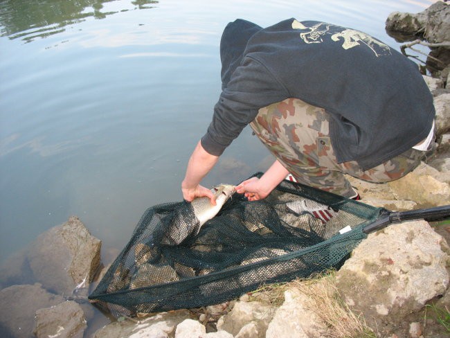 Sava - foto povečava