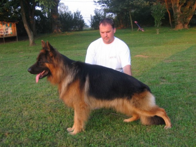 Moj Rox - foto