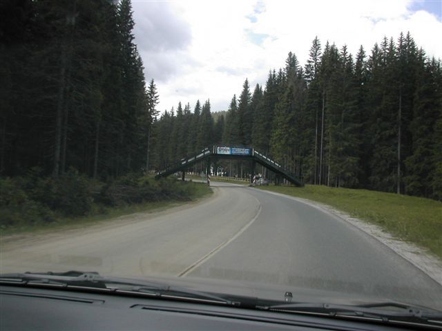 Gorje-Pokljuka-Bohinj-Bled-Gorje - foto povečava