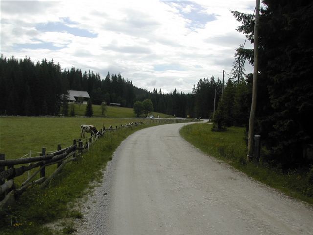 Gorje-Pokljuka-Bohinj-Bled-Gorje - foto povečava