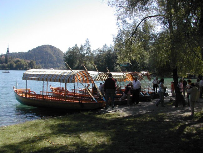 Na poti v Vintgar in na Bled - foto povečava