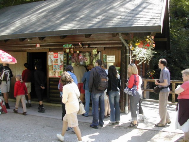 Na poti v Vintgar in na Bled - foto