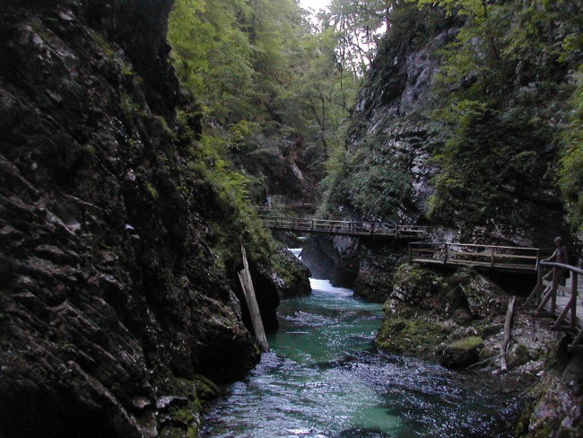 Na poti v Vintgar in na Bled - foto povečava