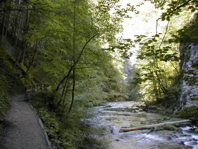 Na poti v Vintgar in na Bled - foto povečava