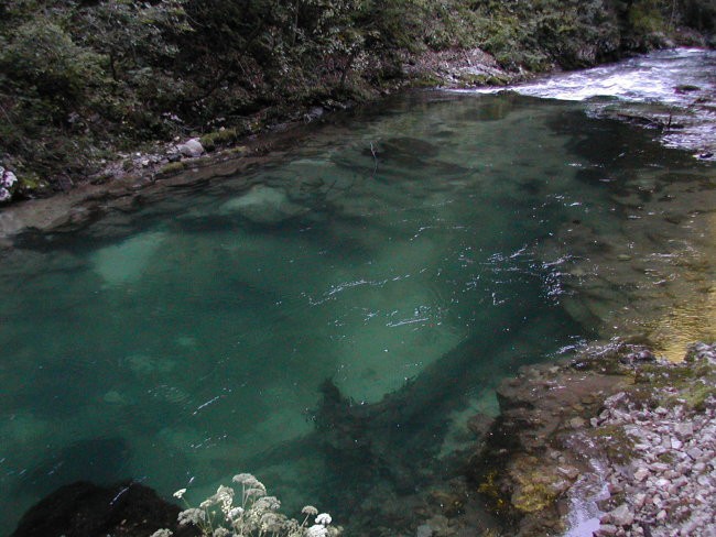Na poti v Vintgar in na Bled - foto povečava