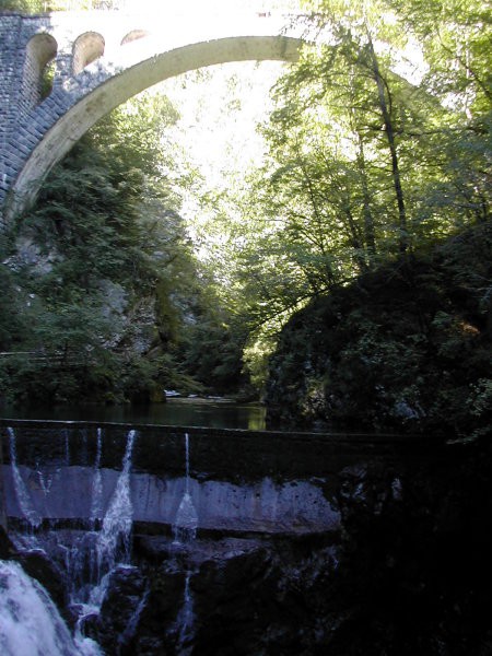 Na poti v Vintgar in na Bled - foto povečava