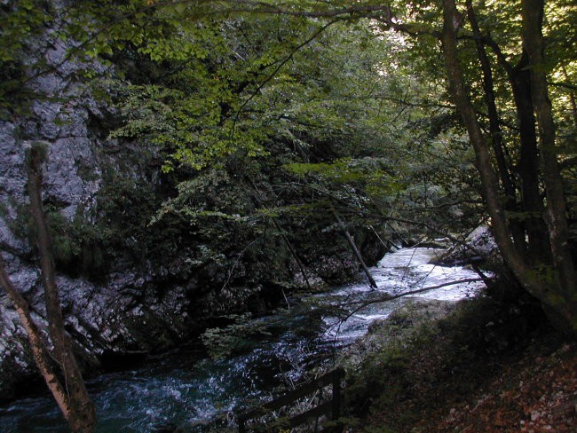 Na poti v Vintgar in na Bled - foto povečava