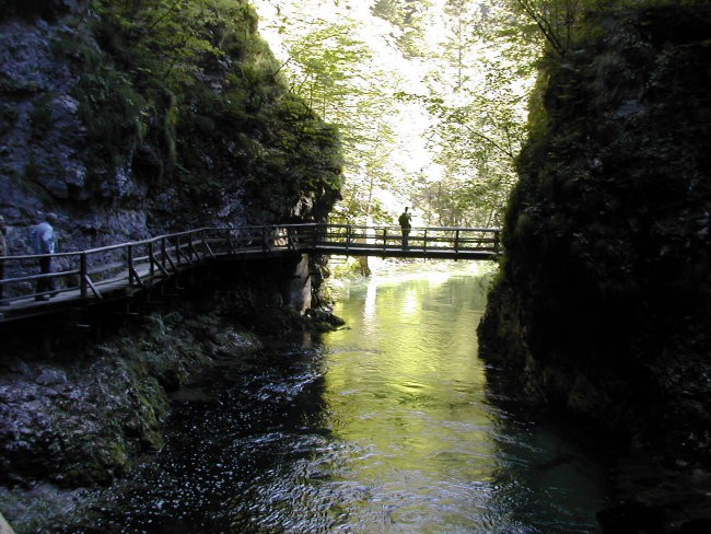 Na poti v Vintgar in na Bled - foto povečava