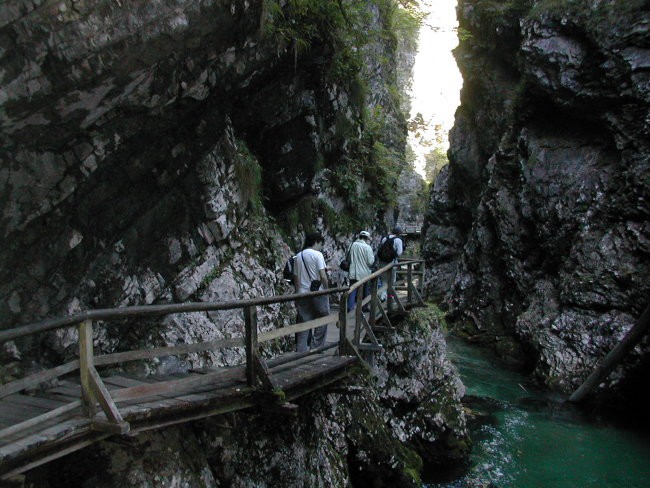 Na poti v Vintgar in na Bled - foto povečava