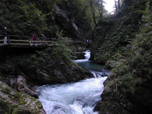 Na poti v Vintgar in na Bled - foto povečava