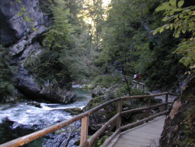 Na poti v Vintgar in na Bled - foto