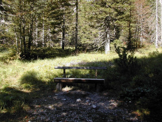 Nedeljski sprehod v naravi (Tamar) - foto povečava