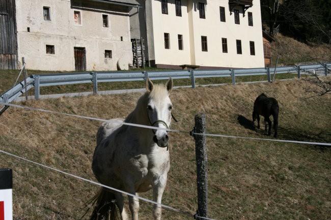 Na potepu po dolini Kokre1 - foto povečava