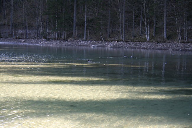 Na potepu po dolini Kokre1 - foto povečava