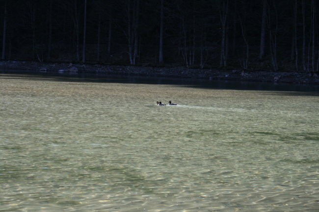 Na potepu po dolini Kokre1 - foto povečava