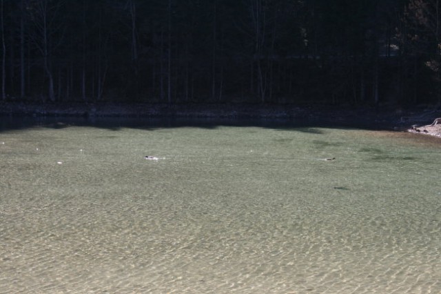 Na potepu po dolini Kokre1 - foto