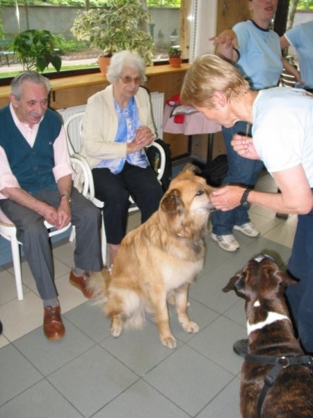 Dom starej. občanov Poljane - maj '05 - foto povečava