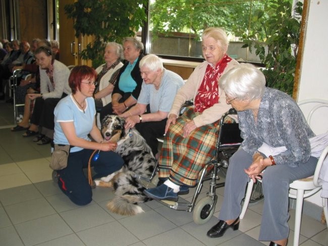 Dom starej. občanov Poljane - maj '05 - foto povečava