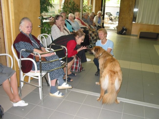 Dom starej. občanov Poljane - maj '05 - foto povečava