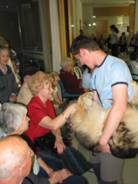 Dom starej. občanov Poljane - maj '05 - foto povečava