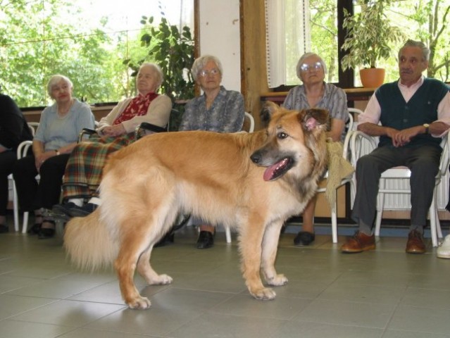 Dom starej. občanov Poljane - maj '05 - foto