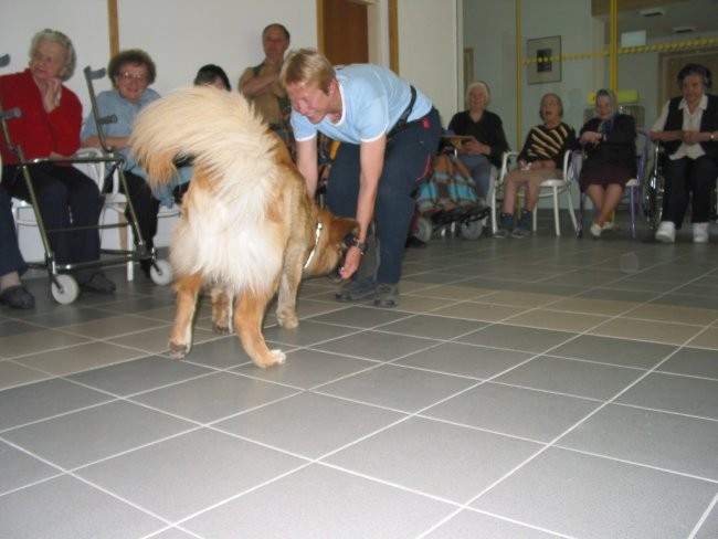 Dom starej. občanov Poljane - maj '05 - foto povečava