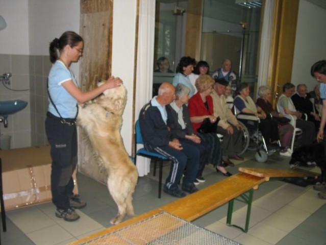 Dom starej. občanov Poljane - maj '05 - foto