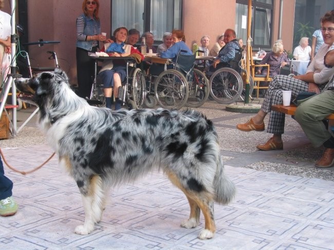 Dom starej. občanov Poljane - maj '05 - foto povečava