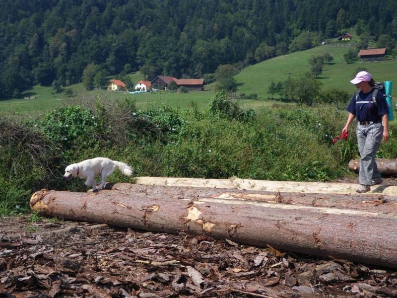 Tabor Varpolje '09 - foto povečava