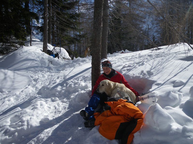 Vršič . lavina 2010 - foto povečava