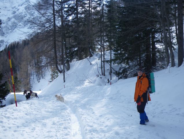 Vršič . lavina 2010 - foto